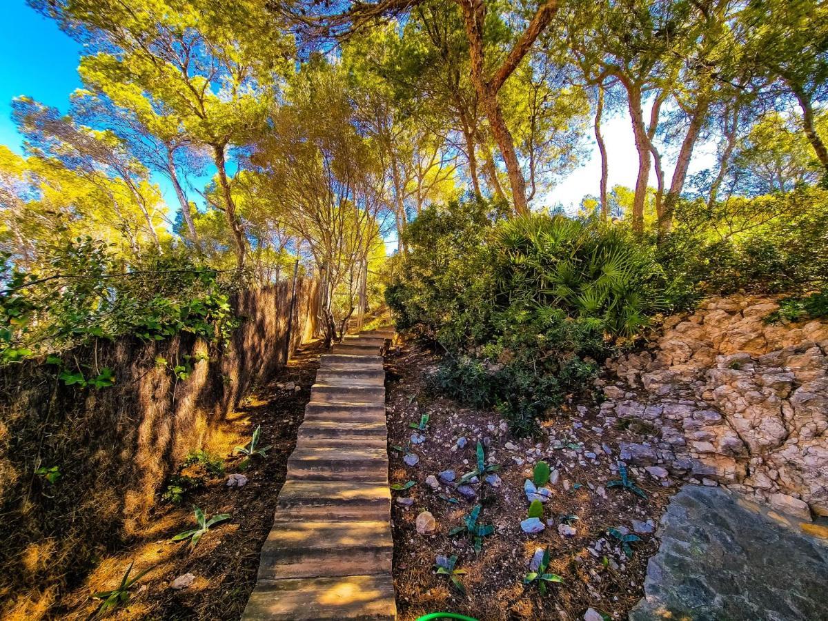 אנדרטקס Villa Cala Llamp מראה חיצוני תמונה